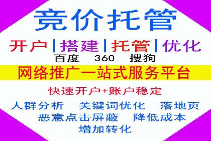 某品牌SEM推广代运营的实践与效果评估
